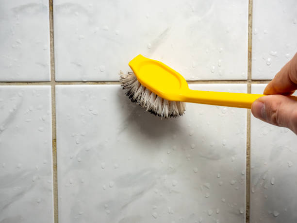 Best Home Mold Removal  in Riverview, MI