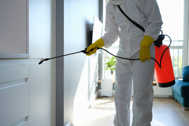 Best Mold Testing  in Riverview, MI