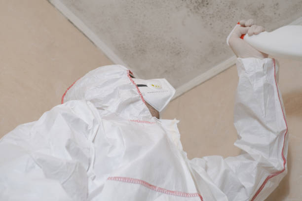 Best Crawl Space Mold Removal  in Riverview, MI